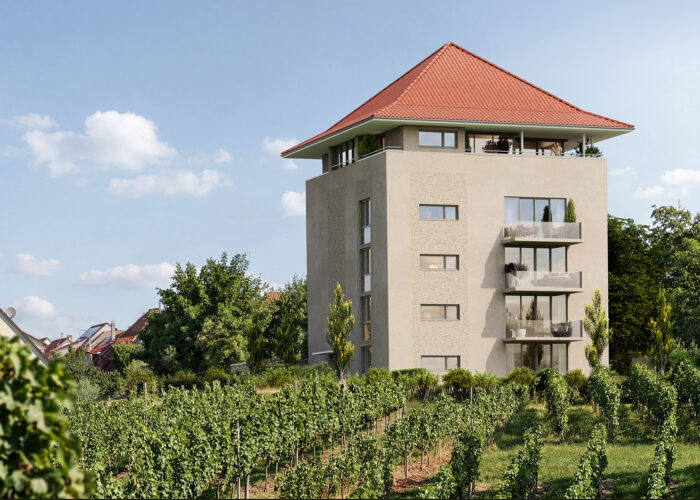 Unbenannt-1